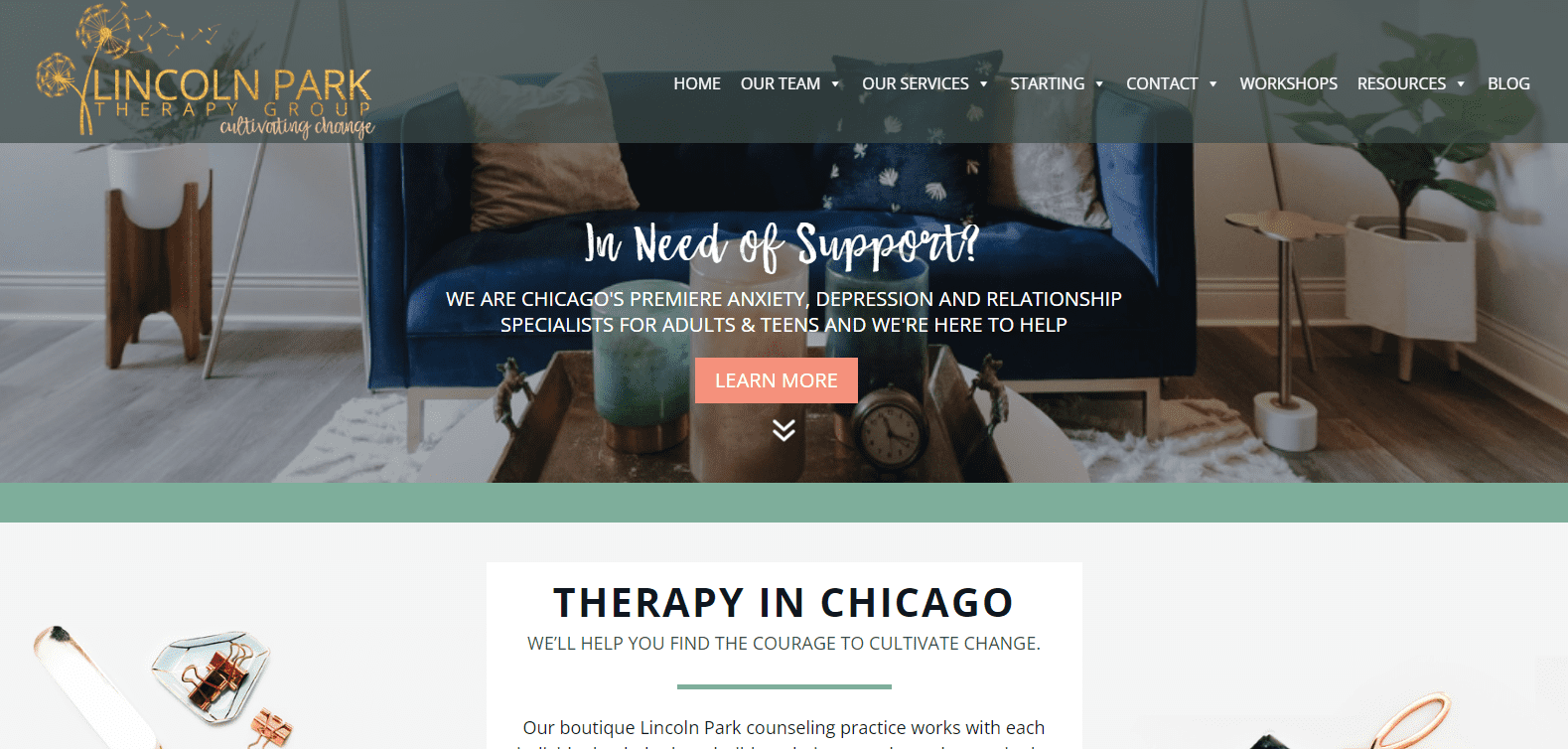 https://lincolnparktherapygroup.com/